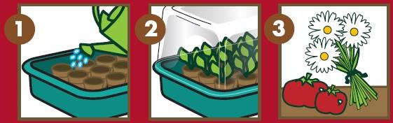 Accessoires pour semer - Plateau d'Arrosage et Couvercle - MEDIA_EN_SITUATION_2